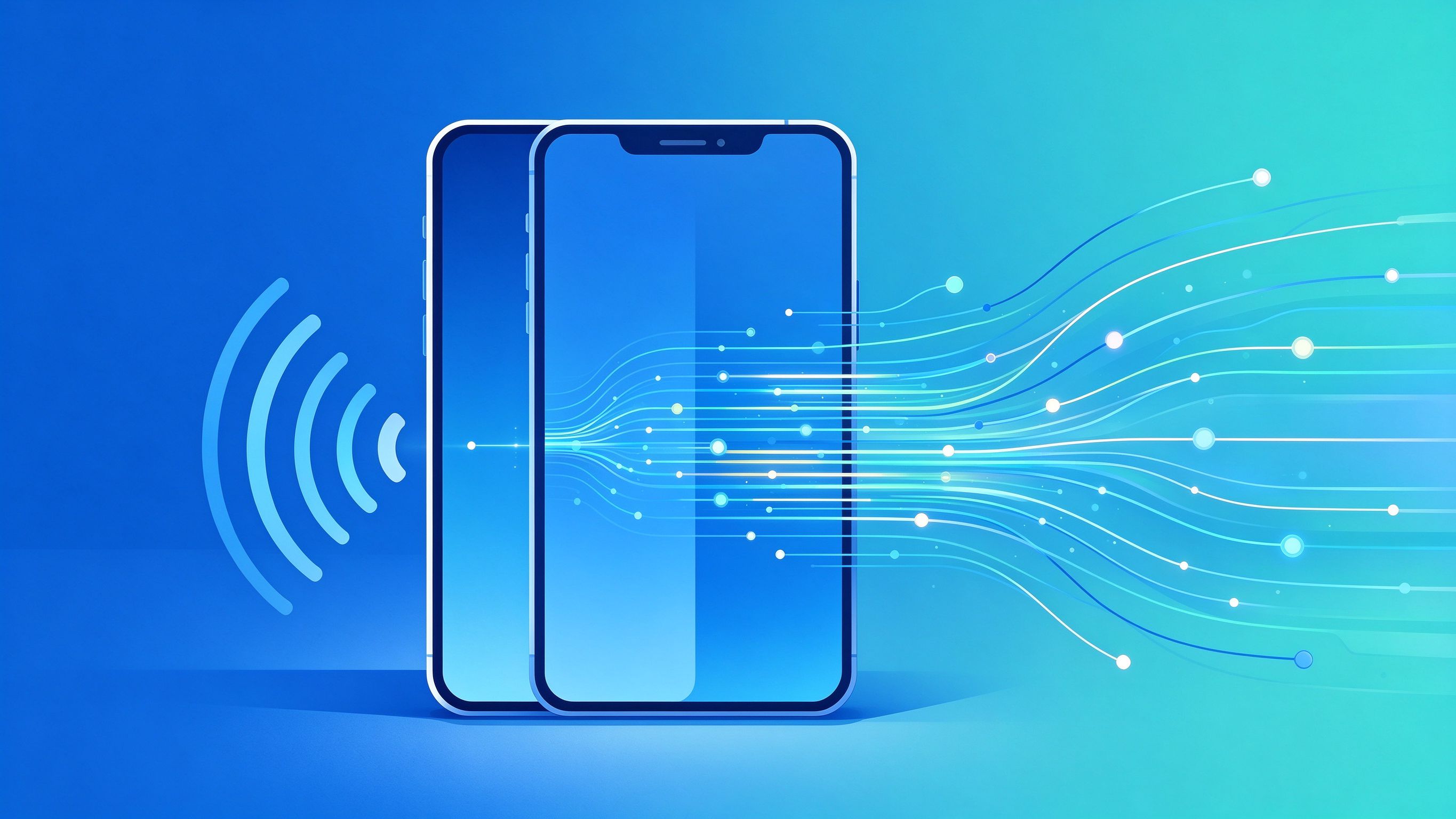农村老家临时装网难 判断要点